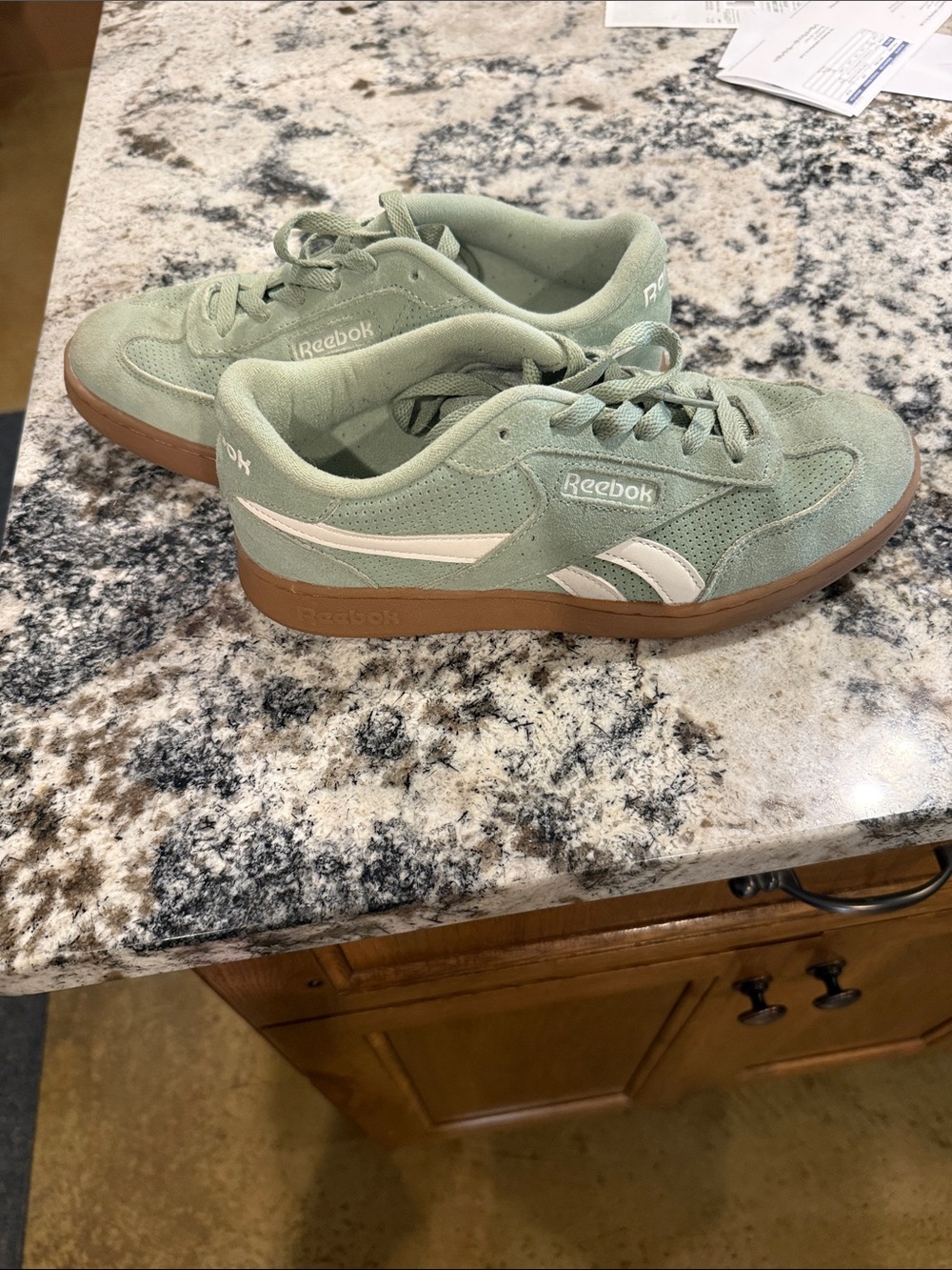 Reebok Low-Top Sneakers in Sage Green and White with Gum Sole